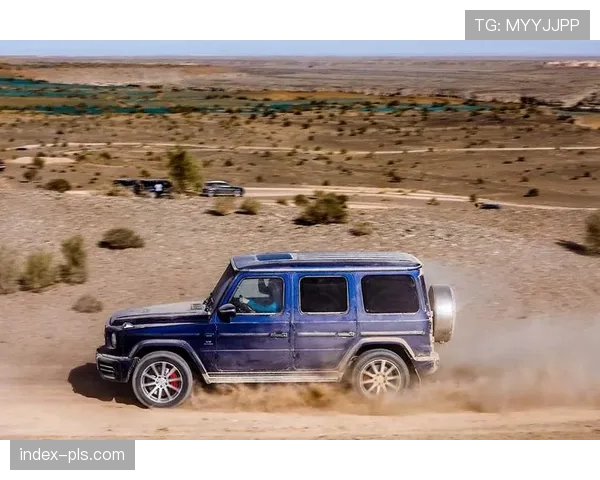 闪电队攻防转换速度迅捷 赫伯特长传精准制导